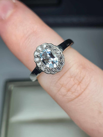 1.02ct Aquamarine and Cambodian Zircon Halo Ring in Platinum Overlay 925 Sterling Silver SIZE K