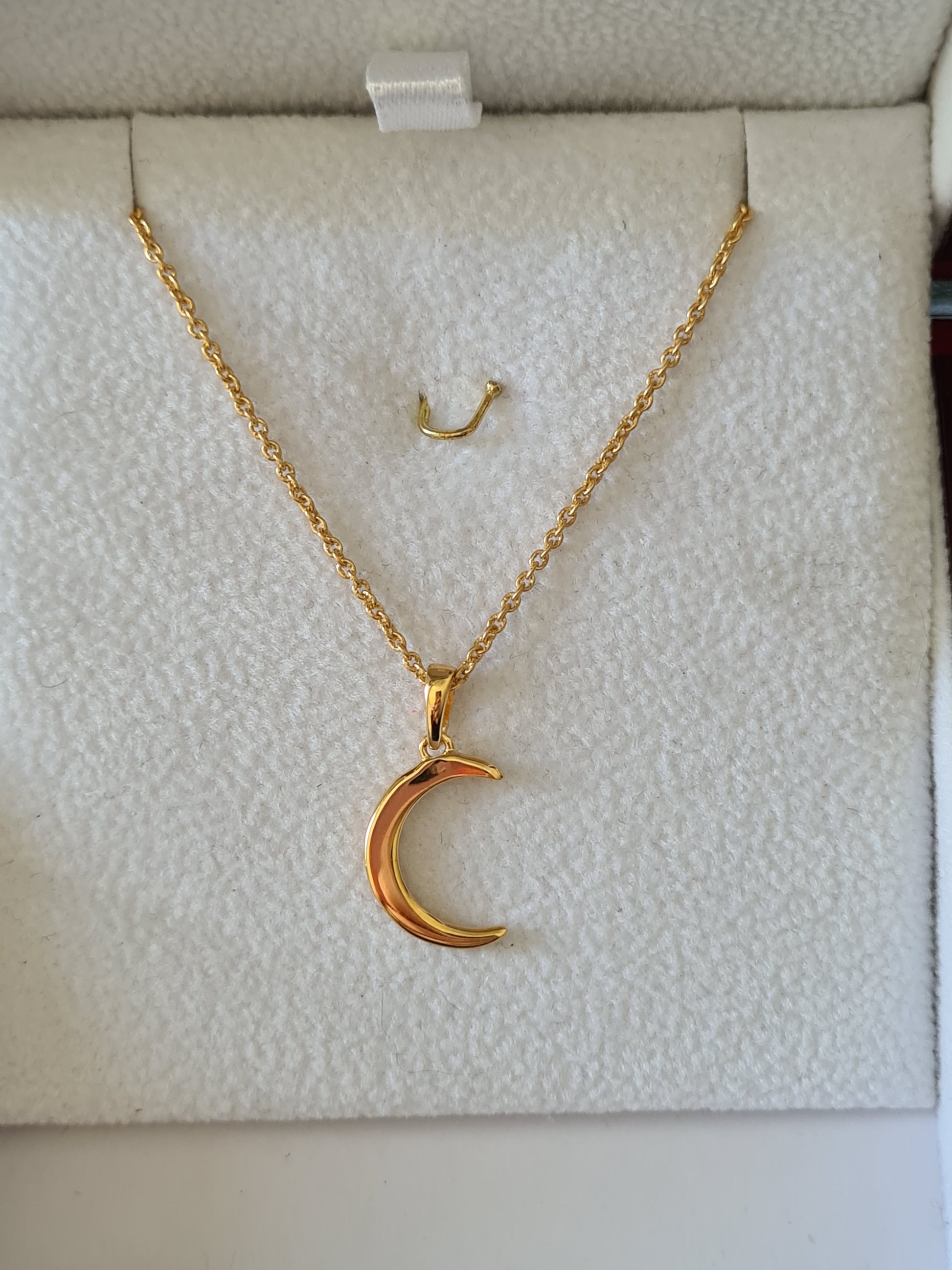 Crescent Moon with wheat Engraving Necklace Gold / Silver – Shany Design  Studio